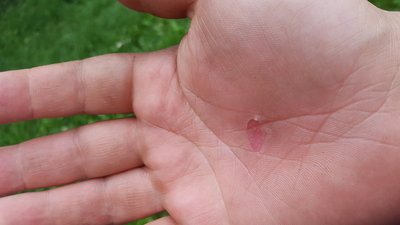 20160917_151606.jpg