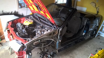 WP_20180930_11_59_54_Pro.jpg