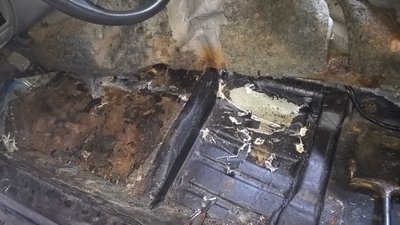 WP_20181006_10_28_57_Pro.jpg