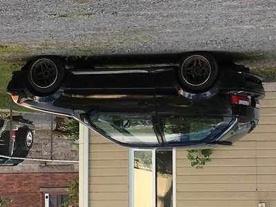 IMG_0410.JPG (1.24 Mio) Consulté 4420 fois IMG_0410.JPG